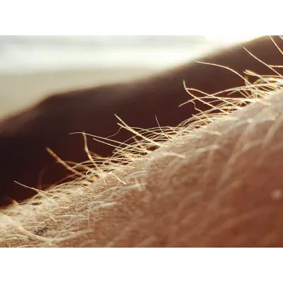Marula Oil Hair Food